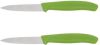 Victorinox Groenteschilmesje Glad Groen 2 Stuks Op Kaart online kopen