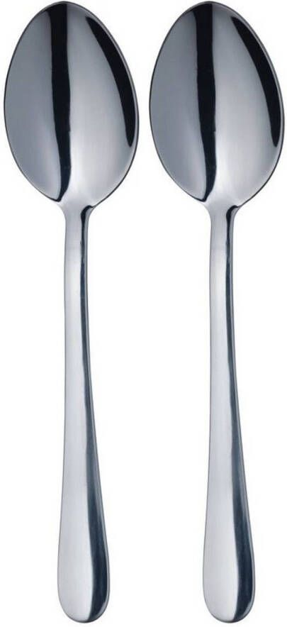 Dessertlepels Set van 2 RVS MasterClass