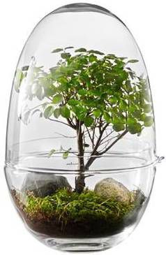 Design House Stockholm Grow Kweekkas